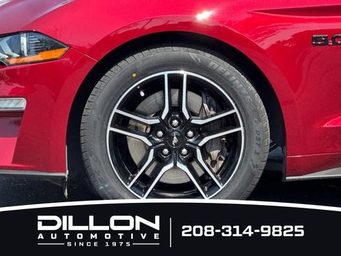 Used 2019 Ford Mustang GT w/ Equipment Group 301A RWD image 30