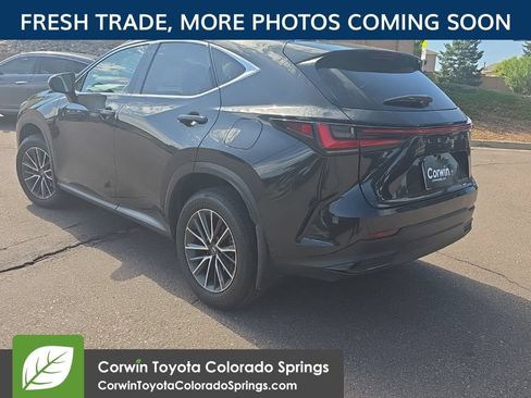 Used 2024 Lexus NX 350h AWD image 6