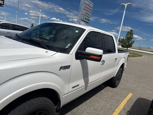 Used 2014 Ford F150 Limited AWD/4WD image 5