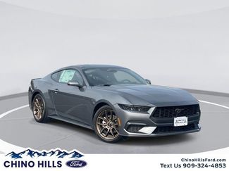 New 2026 Ford Mustang Coupe w/ Bronze Appearance Package video 1
