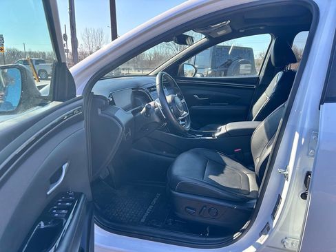 Used 2022 Hyundai Santa Cruz Limited image 5