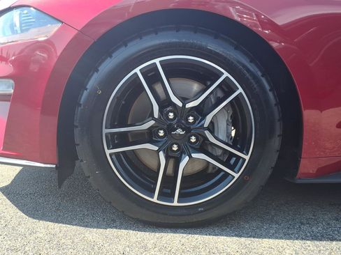 Used 2021 Ford Mustang GT w/ Equipment Group 301A image 7