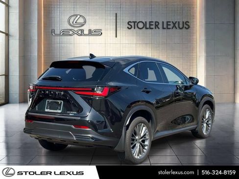 Used 2023 Lexus NX 350h AWD w/ Vision Package image 5