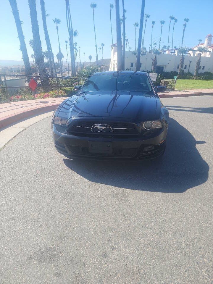 Used 2014 Ford Mustang Premium w/ Equipment Group 202A RWD image 2