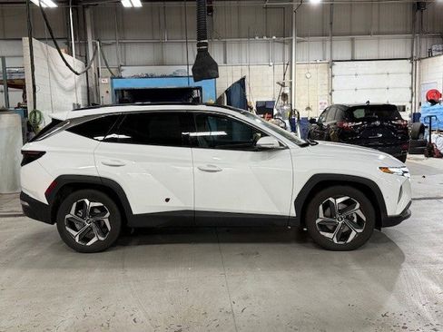 Certified 2024 Hyundai Tucson Limited image 7