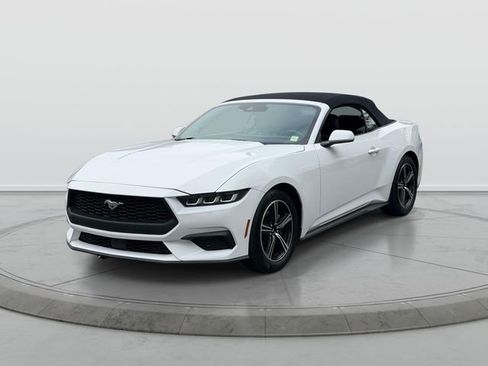 Used 2024 Ford Mustang Premium RWD image 3