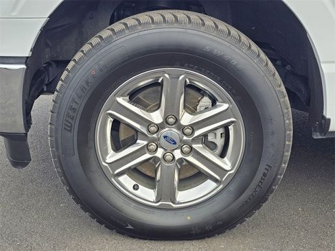 Used 2025 Ford F150 XLT w/ Equipment Group 301A Standard image 8