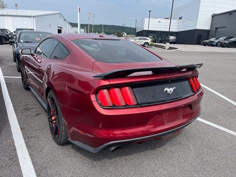 Used 2016 Ford Mustang Premium w/ Ecoboost Performance Package RWD image 3