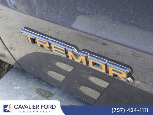 Used 2025 Ford Expedition Tremor AWD/4WD image 15