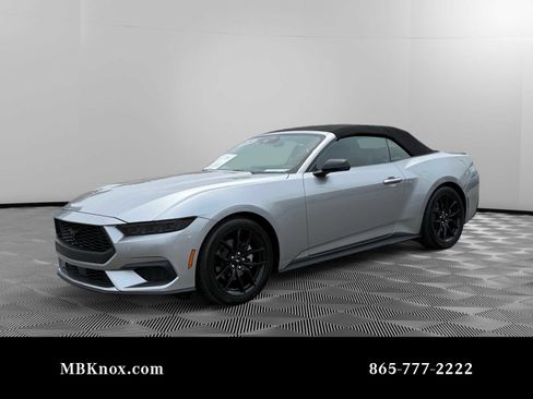 Used 2025 Ford Mustang Premium RWD image 1