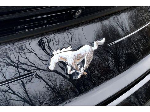 Used 2019 Ford Mustang Coupe w/ Ecoboost Performance Package image 25