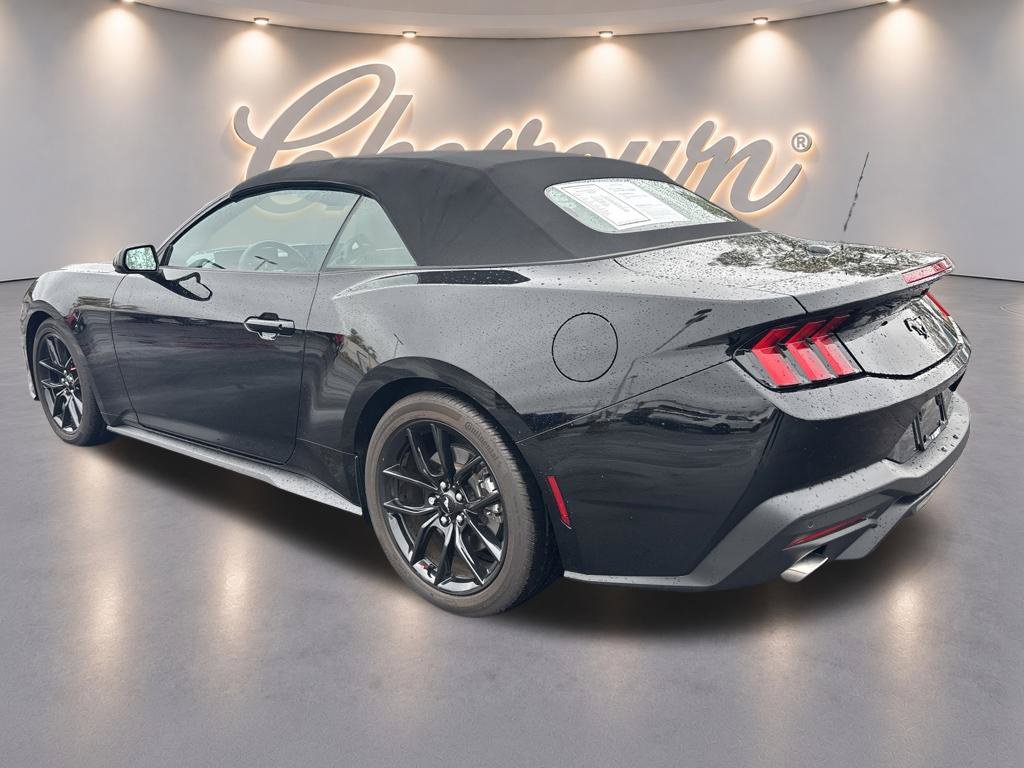 Used 2025 Ford Mustang Convertible w/ Mustang Nite Pony Package RWD image 3