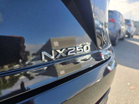 Certified 2025 Lexus NX 250 FWD image 13