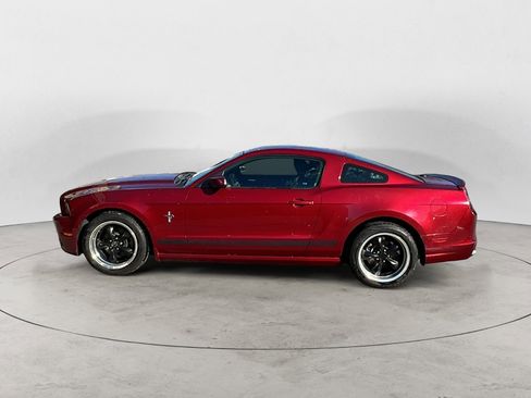 Used 2014 Ford Mustang Premium w/ Equipment Group 202A image 3
