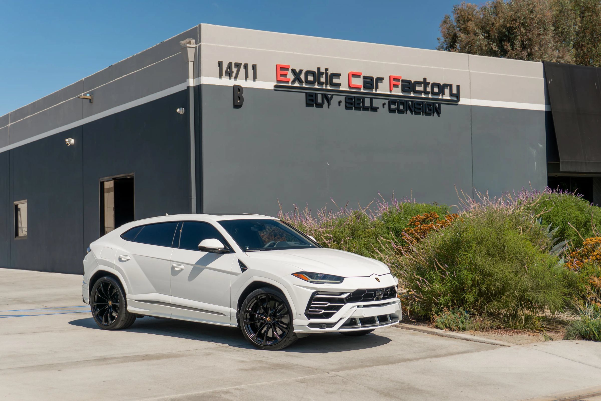 Used 2022 Lamborghini Urus AWD/4WD image 1
