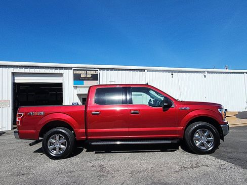 Used 2019 Ford F150 XLT w/ Equipment Group 302A Luxury AWD/4WD image 6