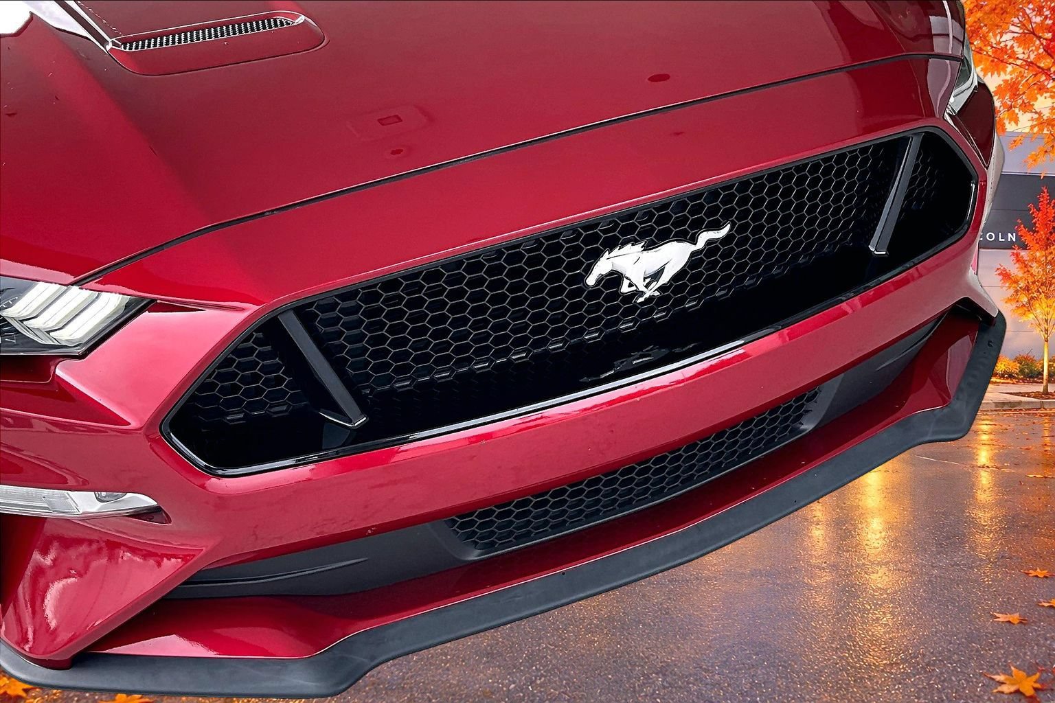 Used 2021 Ford Mustang GT Premium w/ Equipment Group 401A RWD image 33