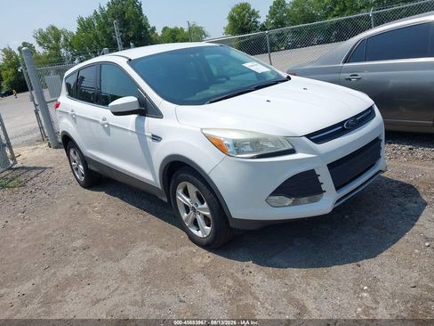 Used 2014 Ford Escape SE AWD/4WD image 1