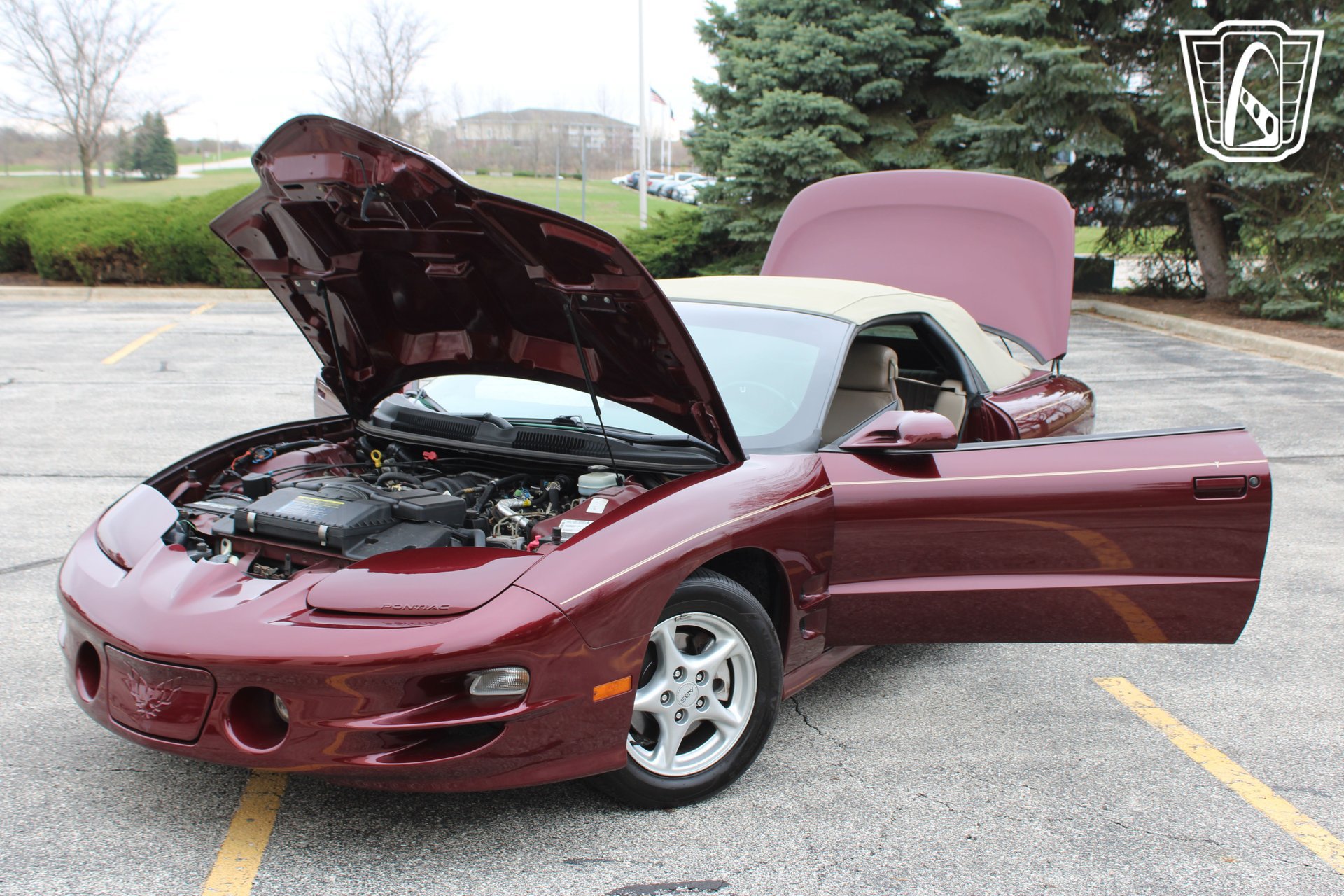Used 2000 Pontiac Firebird Trans Am RWD image 9