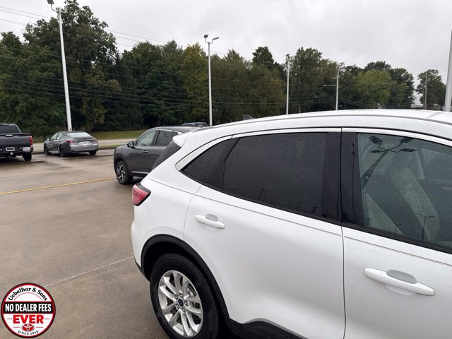 Used 2021 Ford Escape SE AWD/4WD image 13