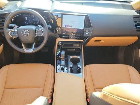 Used 2025 Lexus NX 250 FWD w/ Cold Area Package image 13