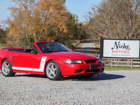 Used 1999 Ford Mustang Cobra RWD image 2