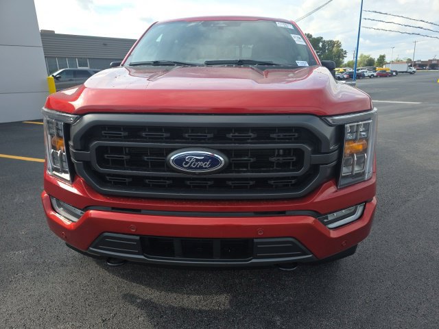 Used 2023 Ford F150 XLT w/ Equipment Group 302A High AWD/4WD image 2