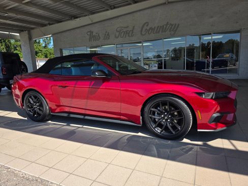 Used 2024 Ford Mustang Premium w/ Mustang Nite Pony Package image 2