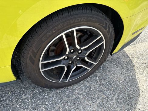 Used 2021 Ford Mustang Premium image 8