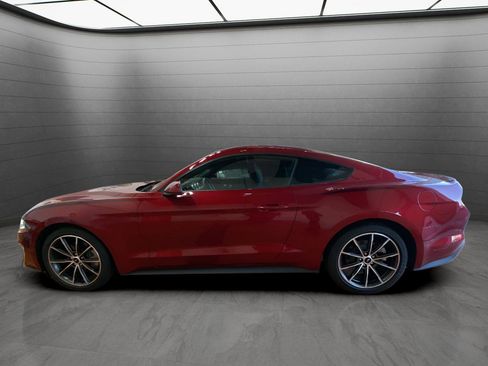Used 2019 Ford Mustang Coupe w/ Equipment Group 101A image 2
