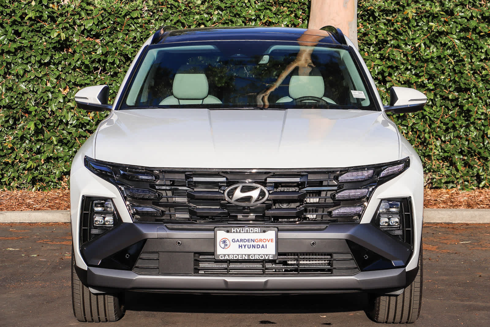 New 2026 Hyundai Tucson Limited AWD/4WD image 2