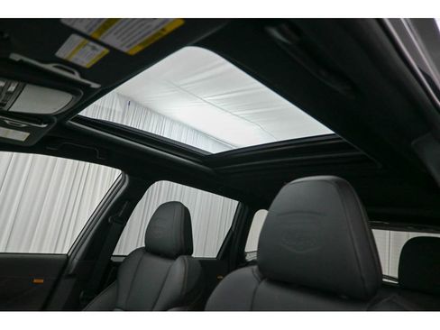 New 2025 Subaru Forester Wilderness w/ Wilderness Package image 17