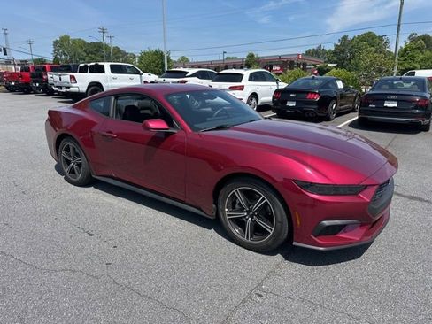 Used 2025 Ford Mustang Coupe RWD image 1