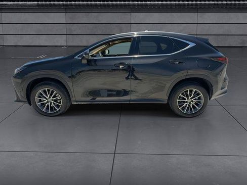 Certified 2025 Lexus NX 350h AWD w/ Cold Area Package image 5