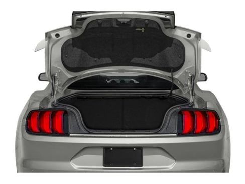 Used 2019 Ford Mustang GT RWD image 11
