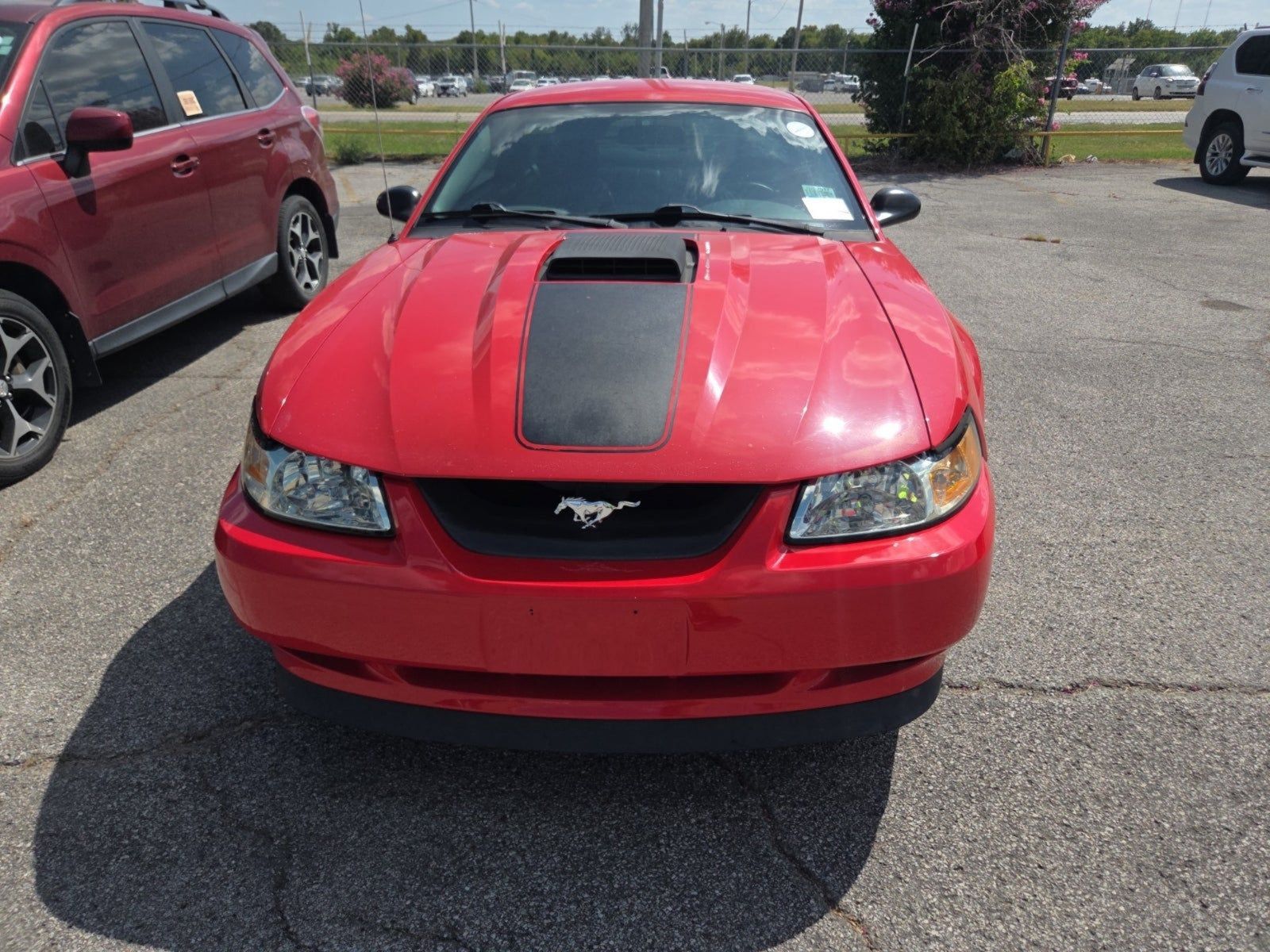 Used 2004 Ford Mustang Mach 1 RWD image 2