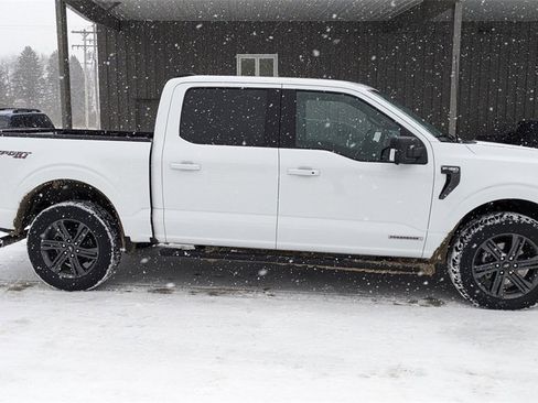 Used 2023 Ford F150 XLT w/ Equipment Group 302A High image 2