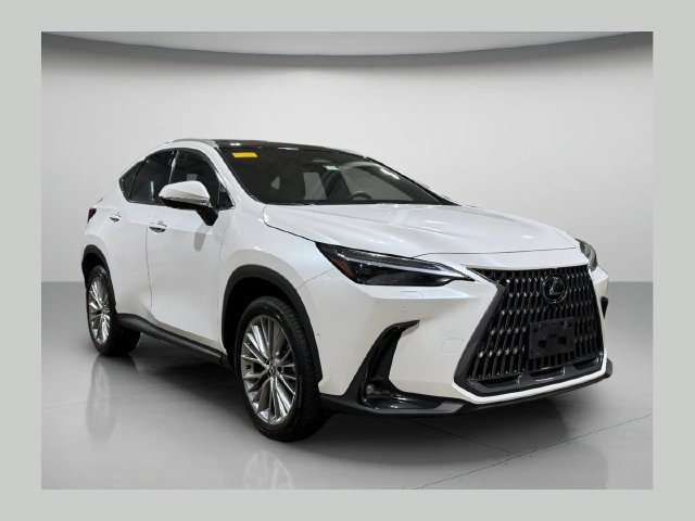 Certified 2025 Lexus NX 350h AWD w/ Cold Area Package image 1