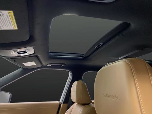 New 2026 Hyundai Palisade Calligraphy image 7