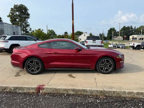 Used 2019 Ford Mustang Coupe w/ Equipment Group 101A RWD image 5