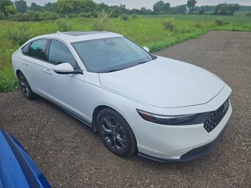 Used 2023 Honda Accord EX image 3