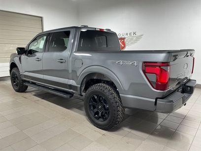 New 2026 Ford F150 XLT w/ Equipment Group 302A MID