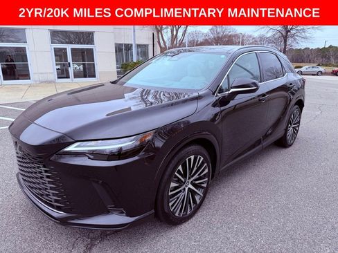 Used 2023 Lexus RX 350 Premium Plus w/ Cold Area Package image 3