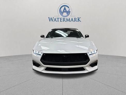 Used 2025 Ford Mustang Coupe w/ Mustang Nite Pony Package RWD image 10
