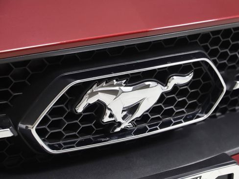 Used 2019 Ford Mustang Premium w/ Pony Package RWD image 17