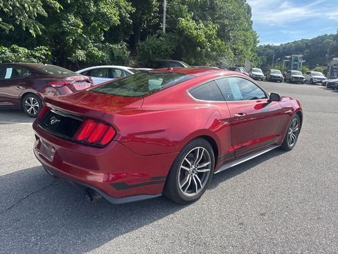 Used 2015 Ford Mustang Premium w/ Equipment Group 201A RWD image 6