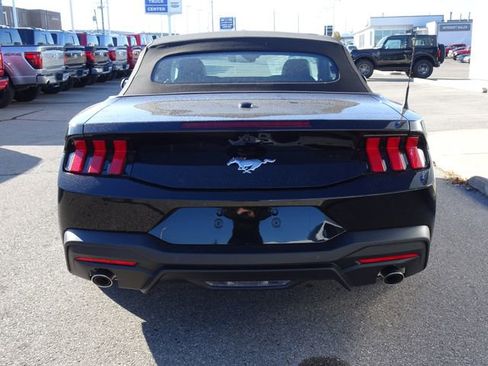 New 2026 Ford Mustang Premium image 4