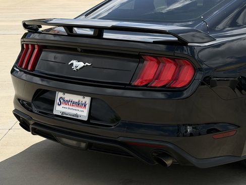 Used 2019 Ford Mustang Coupe w/ Ecoboost Performance Package RWD image 6
