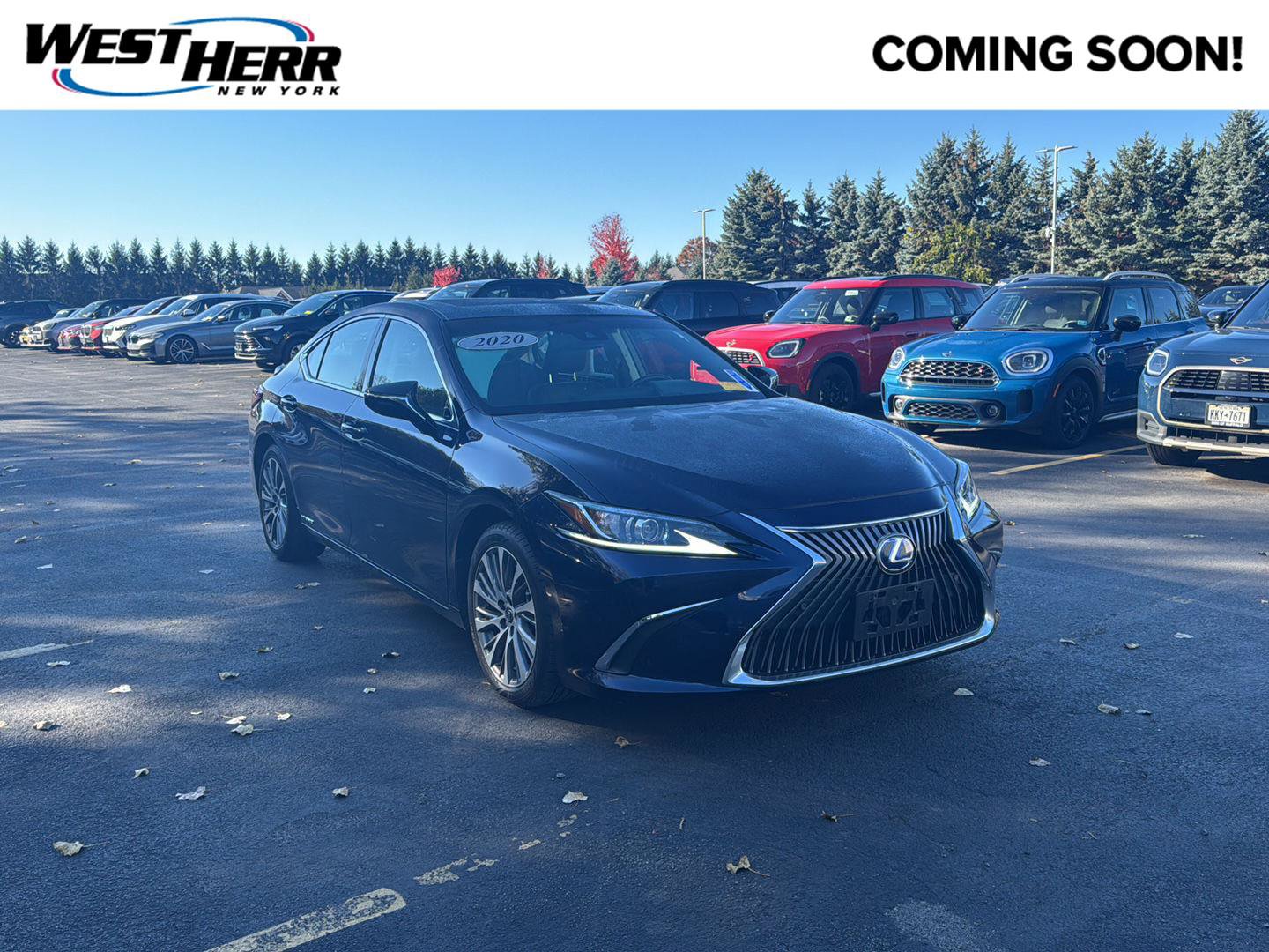 Used 2020 Lexus ES 300h w/ Premium Package FWD image 1