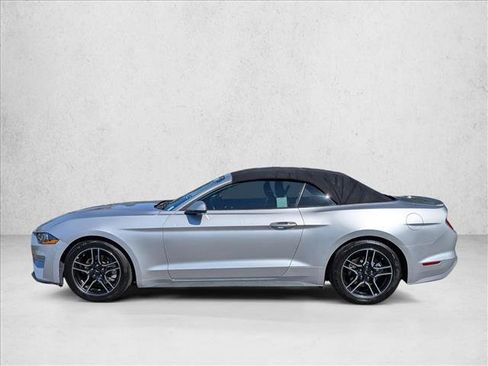 Used 2019 Ford Mustang Premium RWD image 9